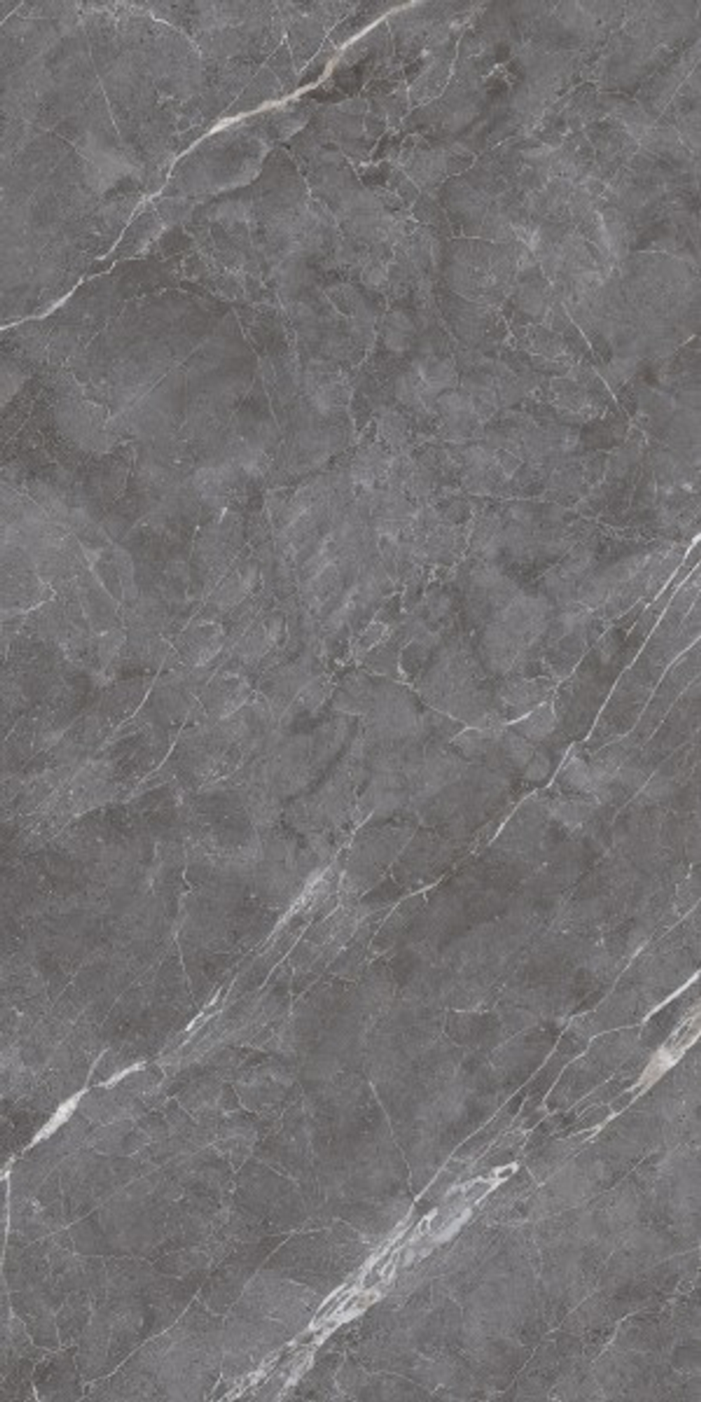 ESPERIA GRIGIO LAPPATO CL4003-A