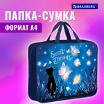 Папка на молнии с ручками BRAUBERG А4 1 отделение полиэстер 80 мм "Sweet dreams" (2 штуки в упаковке)