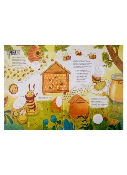 Атлас насекомых с наклейками