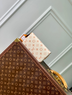 Louis Vuitton Zippy Wallet