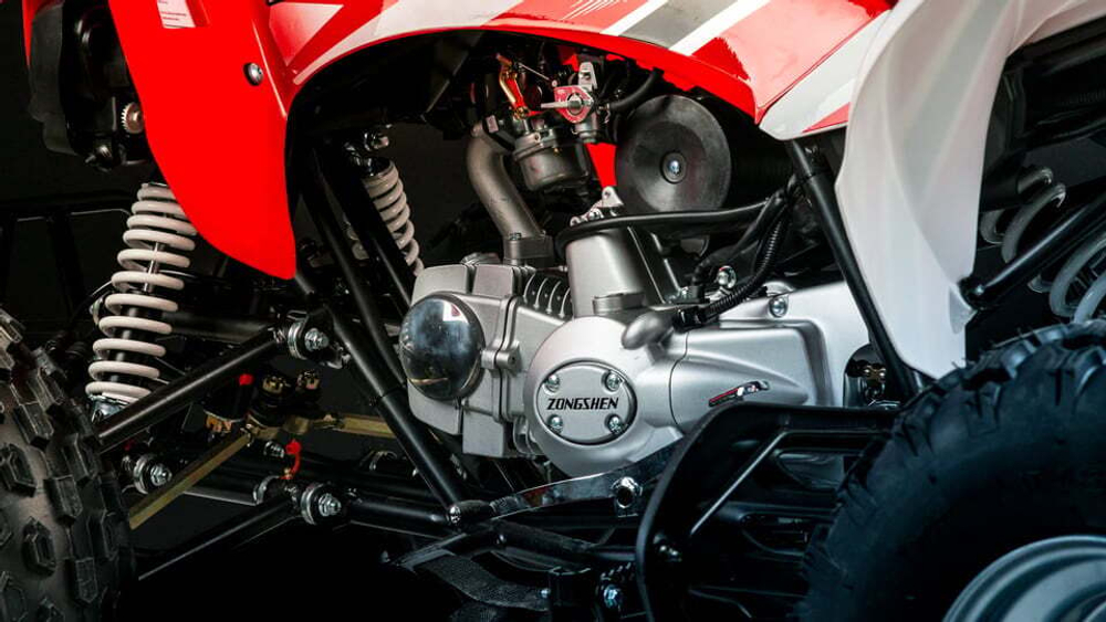 Квадроцикл MOTOLAND 250S