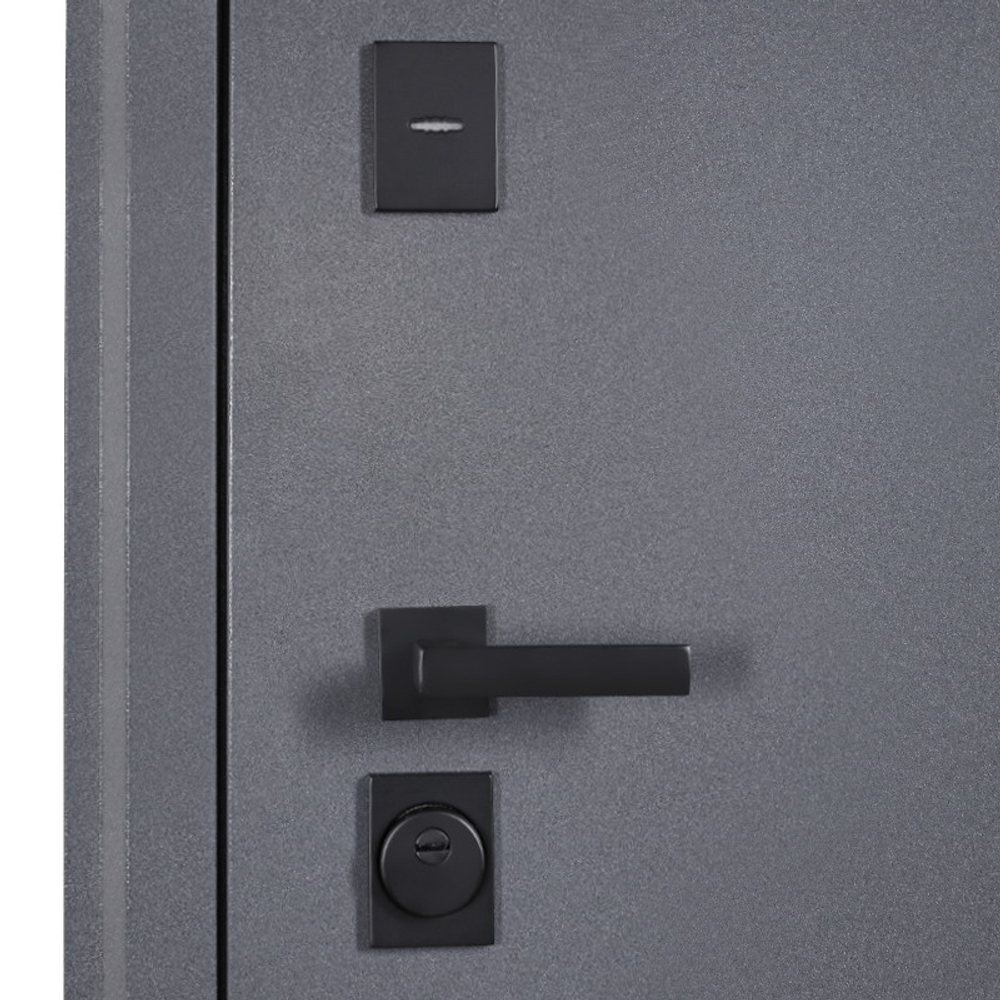 Стальная дверь  "Беркут" с зеркалом