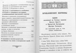 psaltir-chtomaya-po-usopshim-kanony-molitvy-litiya-i-panihida-116185-546733