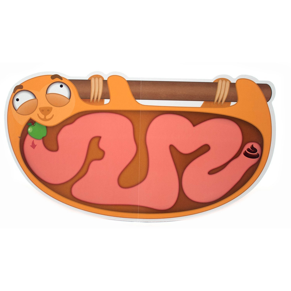 Слепой лабиринт