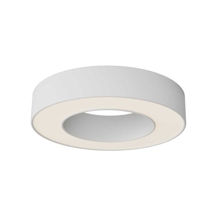 Потолочный светильник Maytoni Technical C093CL-24W3K-W