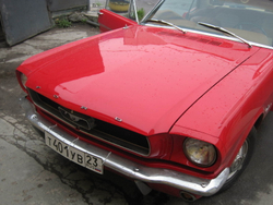 Автоковрики для Ford Mustang (1964-1973)