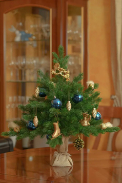 Ель Царь Елка Астерия Премиум 90см 3D