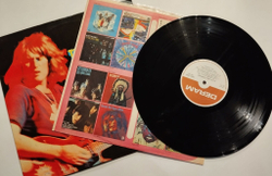 Винтажная виниловая пластинка LP Ten Years After Alvin Lee and Company (USA 1972)
