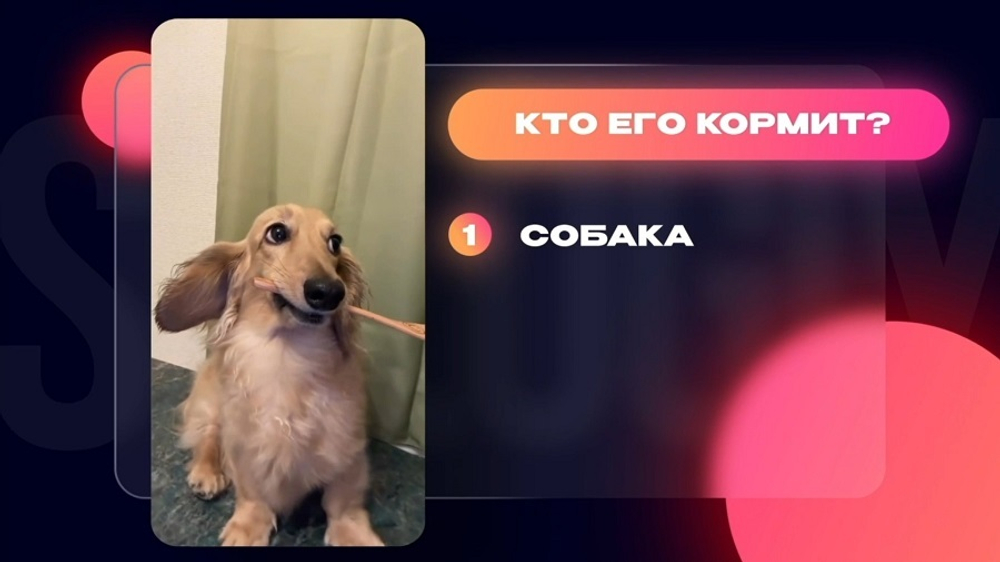 «Reels'ология»