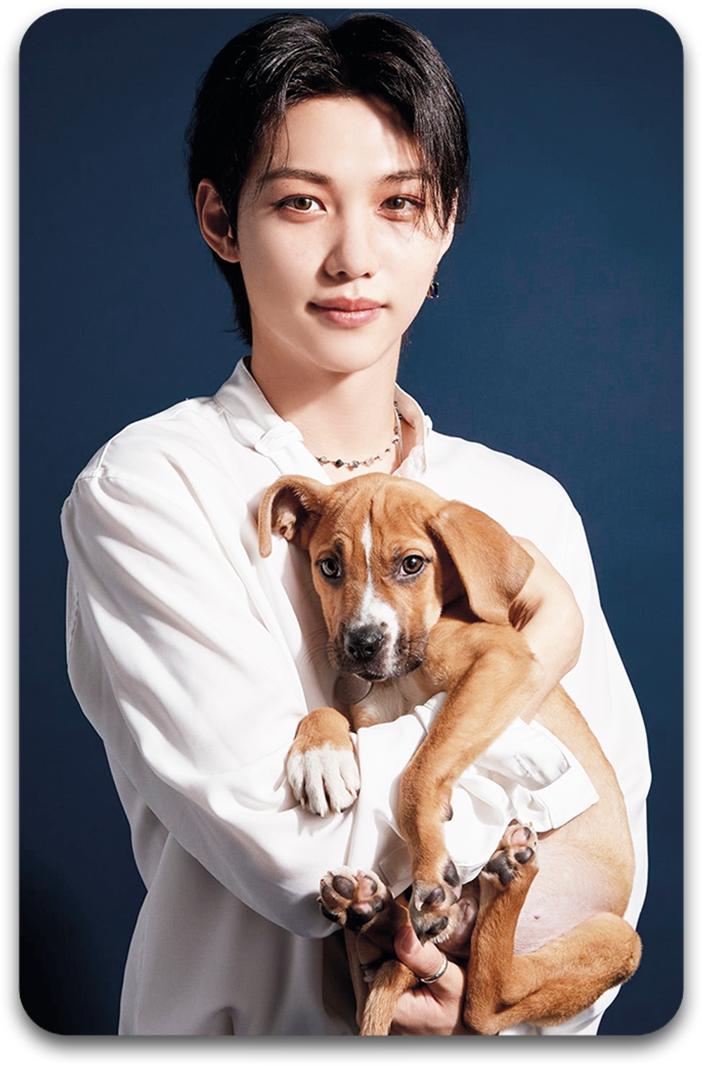 Карта / STRAY KIDS #3205