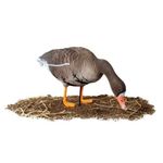 Комплект чучел Белолобый гусь (10шт) 3D "Softplast" B10S-3D