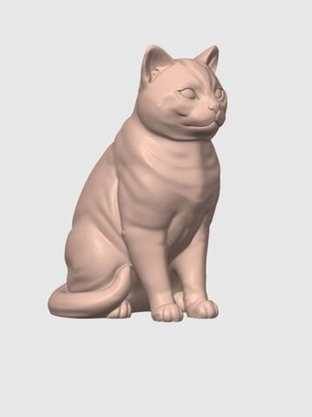 Американская короткошерстная кошка