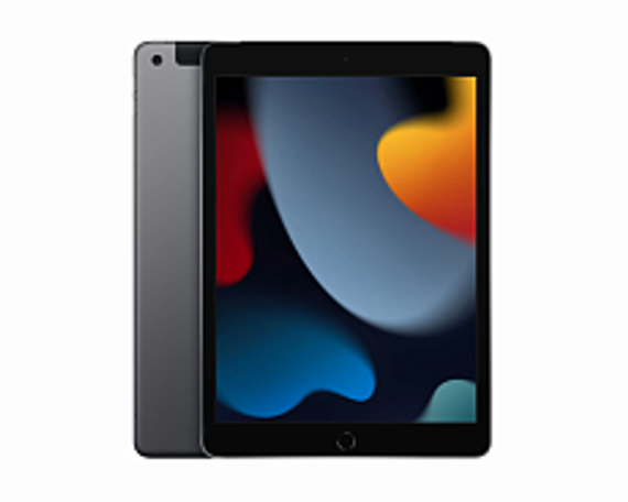 Планшет Apple iPad 2021 10.2 Wi-Fi 256Gb (Серый космос)