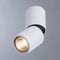 Спот Divinare Gavroche Posto 1800/03 PL-1