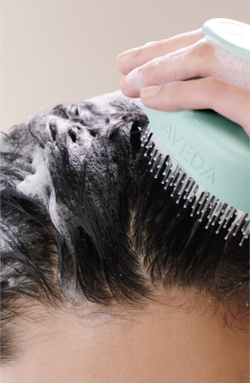 Aveda Scalp Solutions Balancing Shampoo - успокаивающий шампунь для регенерации кожи головы /   50  ml  / GTIN 18084040553