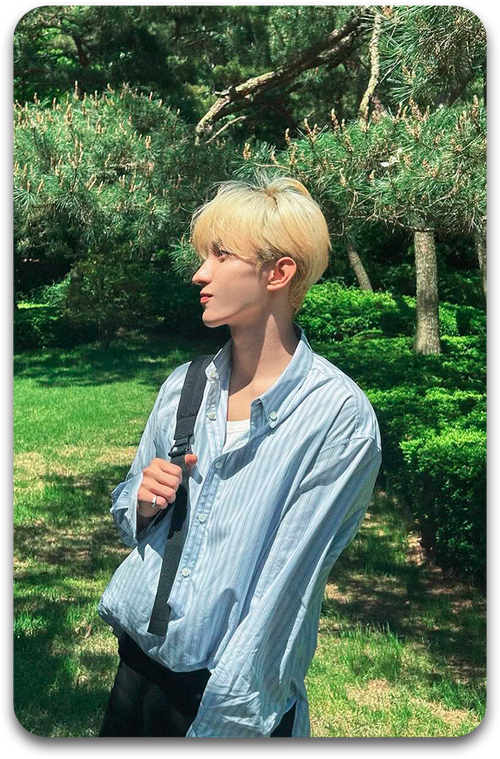 Карта #3888 / DK (SEVENTEEN)