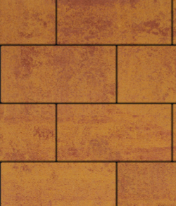 Тротуарная плитка ВЫБОР, форма Прямоугольник 600*300, h=80мм