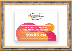 Рама 50x85 для картин и фотографий