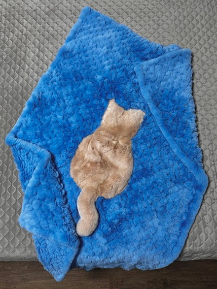 Вязаный детский плед из натурального меха рекс "Котик" 120х80 см (голубой)