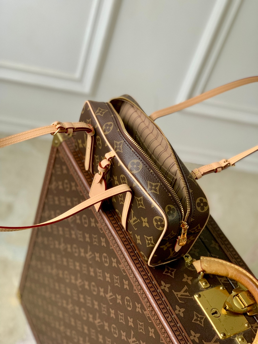 Louis Vuitton Hang On