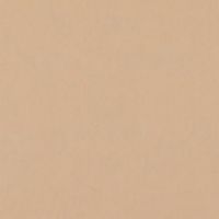 Фон бумажный FST 2,72X11M 1038 PONGEE песочный