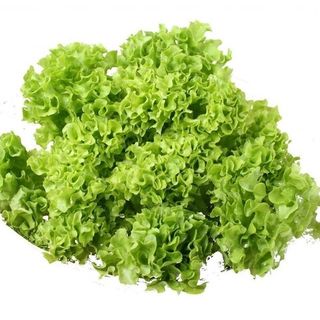 Салат Грин Мастер 5000  семян