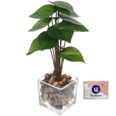 Цветочная композиция в стеклянном горшке «Филодендрон» 10*22см HL-20