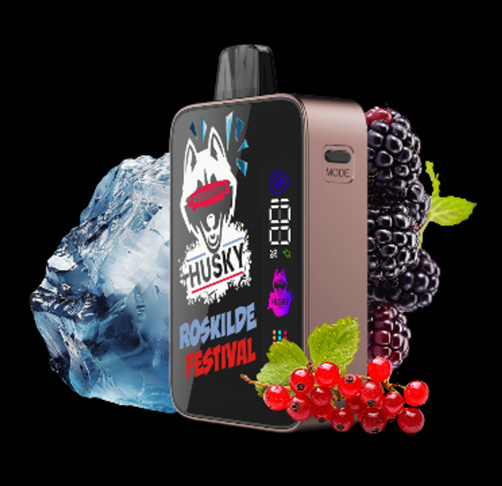 Husky Premium ROSKILDE FESTIVAL - Ежевика с красной смородиной 15000 затяжек 20мг (2%)