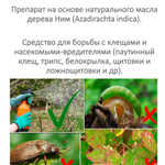 Neem Oil / Масли НИМ, средство от болезней и вредителей