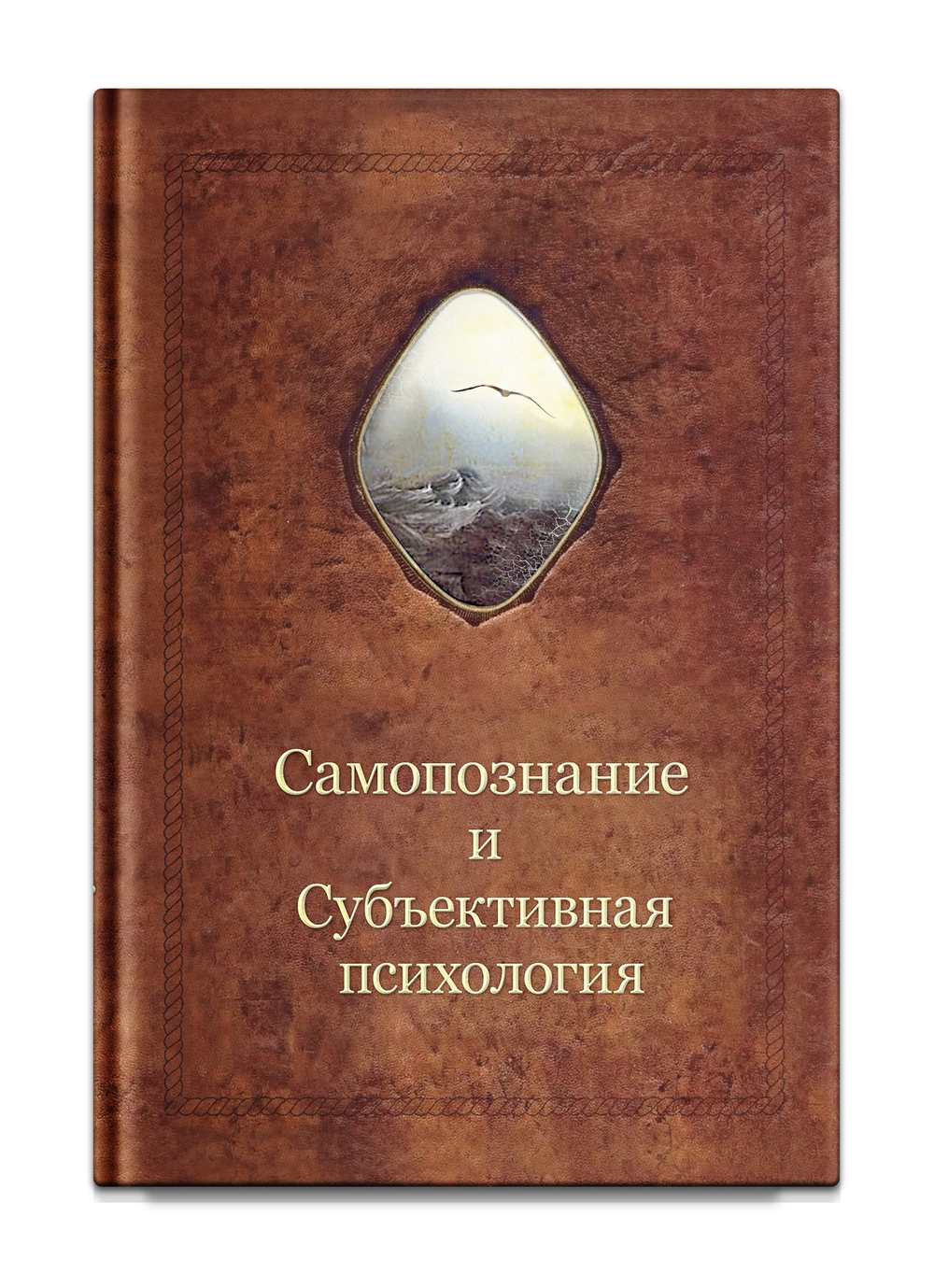 Самопознание и субъективная психология. Шевцов А.