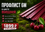 Профлист НС 20 (Н-Эконом) 6 м РАЛ 3005 Вишня