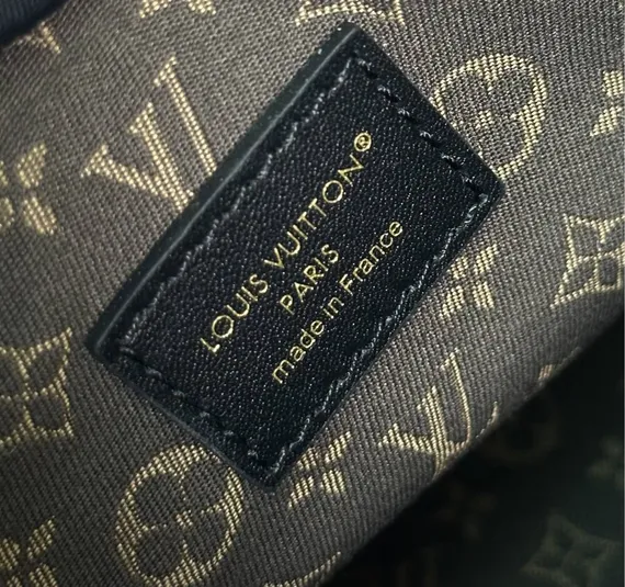 Сумка Louis Vuitton Biker PM, серый