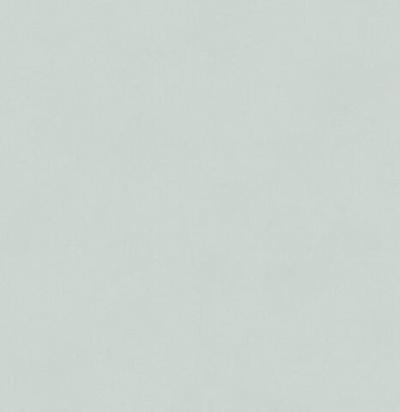 Обои матовые с иммитацией штукатурки BLONE1017