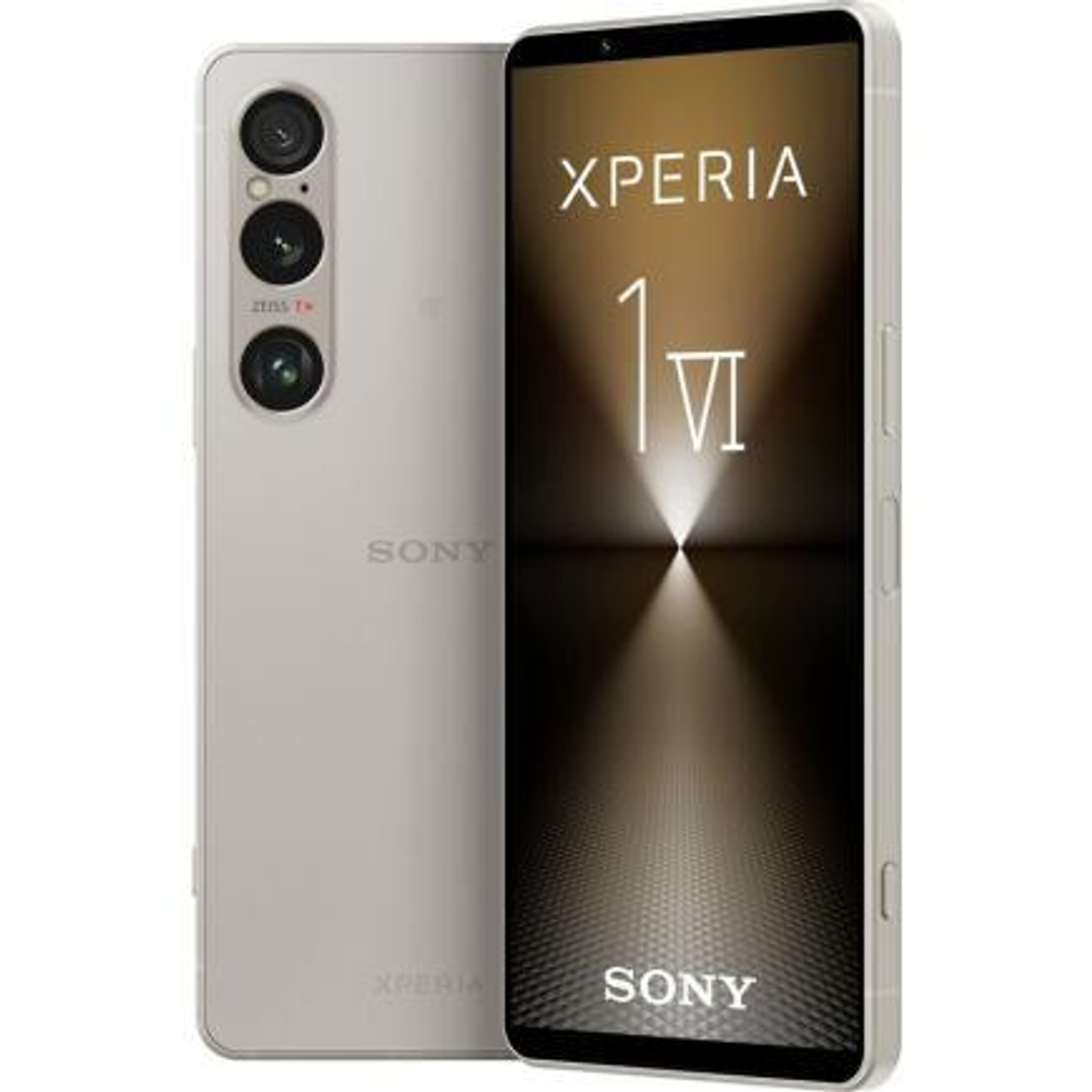 Sony Xperia 1 VI (XQ-EC72) 12/256Gb Platinum Silver