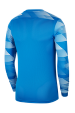 Вратарская кофта Nike Dry Park IV LS GK Детская