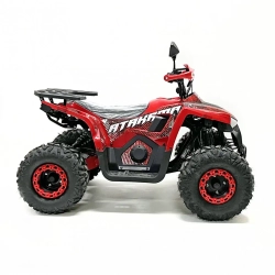 Электроквадроцикл Green Camel Атакама T610 (72V 2000W R8)