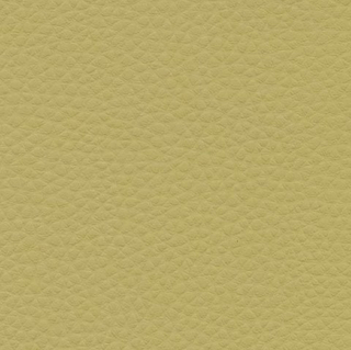 Искусственная кожа Alba dollaro 583 (Альба долларо 583)