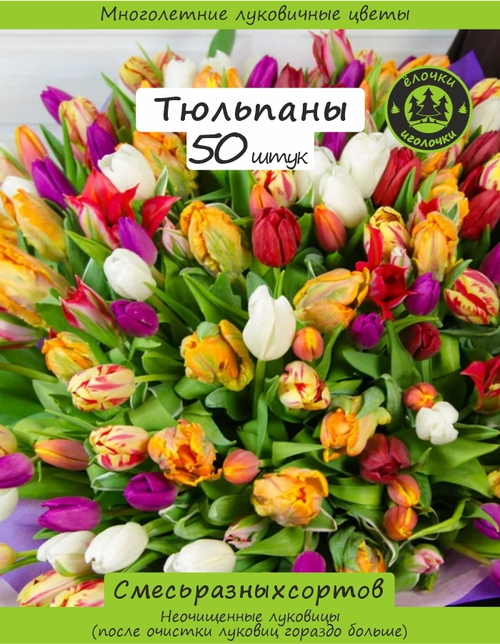 Тюльпан Луковицы неочищенные, Микс сортов, 50шт+