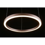 Подвесная светодиодная люстра Aployt Nisia APL.025.03.48