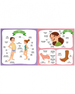 Словарь английского языка для детей "Мой первый английский. Английский словарь в картинках"