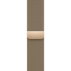 Apple Watch S9 41mm Gold / Stainless Steel Case