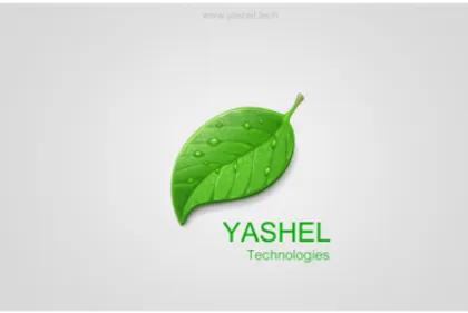 YASHEL: НОВЫЙ БРЕНД - НОВЫЕ ВОЗМОЖНОСТИ