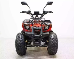 Электроквадроцикл GreenCamel Атакама Т120 (48V 800W R8 Цепной привод)