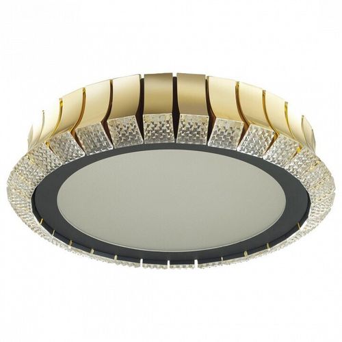 Накладная люстра Odeon Light 4994/75L