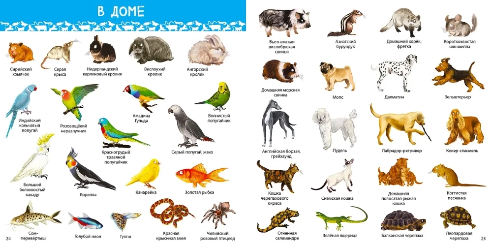 1000 картинок. Животные мира