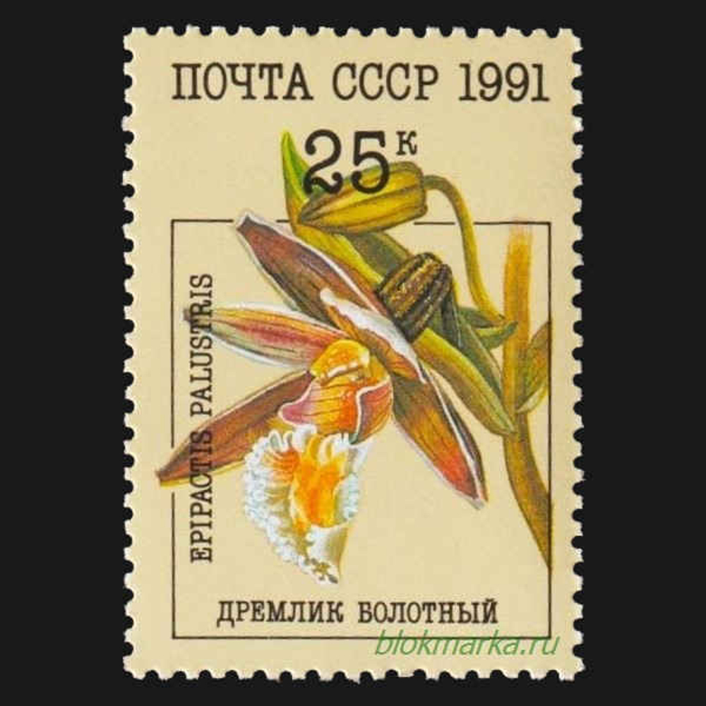 СССР 1991 г № 6315-6319 Серия Орхидеи Чистая MNH **