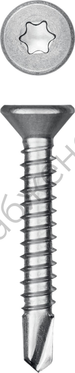 KRAFTOOL DS-C 32 х 3.9 мм, А2, сверло, потай, ТХ15, саморез нержавеющий, 380 шт (300932-39-032)
