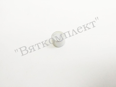 Магнит 11х7,8