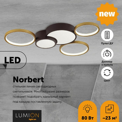 Накладная люстра Lumion 5255/80CL