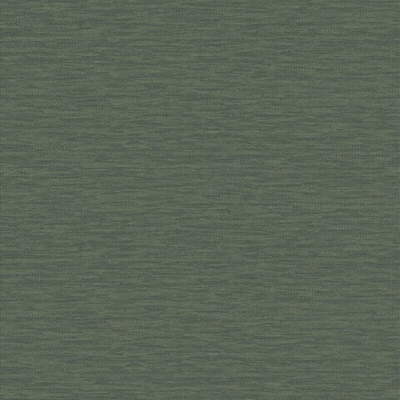 Обои Brewster Evolution 2 BWE02401